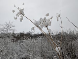 Schneelandschaft in Borken